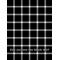 [V:5140]イルカ[V:5140]
