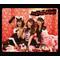 [A:F3C0]AKB48親衛隊[A:F3C0]