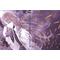 Jormungand